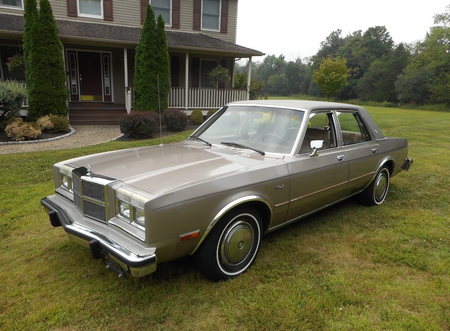 Image of Dodge Diplomat